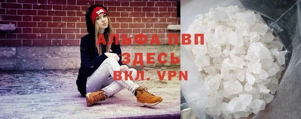 винт Алексин