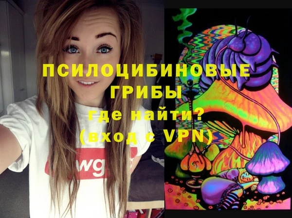 эйфоретик Алексеевка