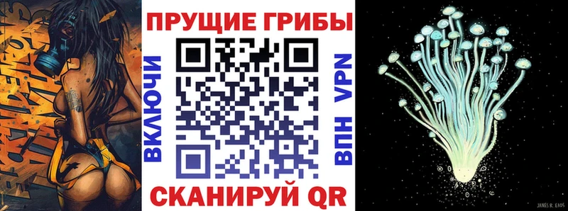 наркота  Егорьевск  Псилоцибиновые грибы прущие грибы 