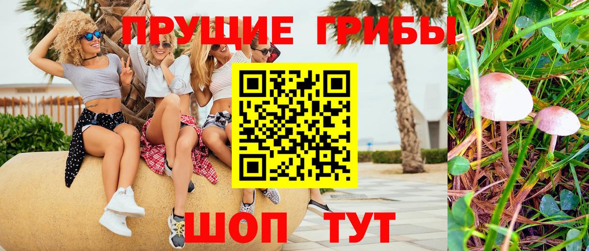 купить наркотик  Вход с VPN  Егорьевск  Псилоцибиновые грибы Psilocybe 